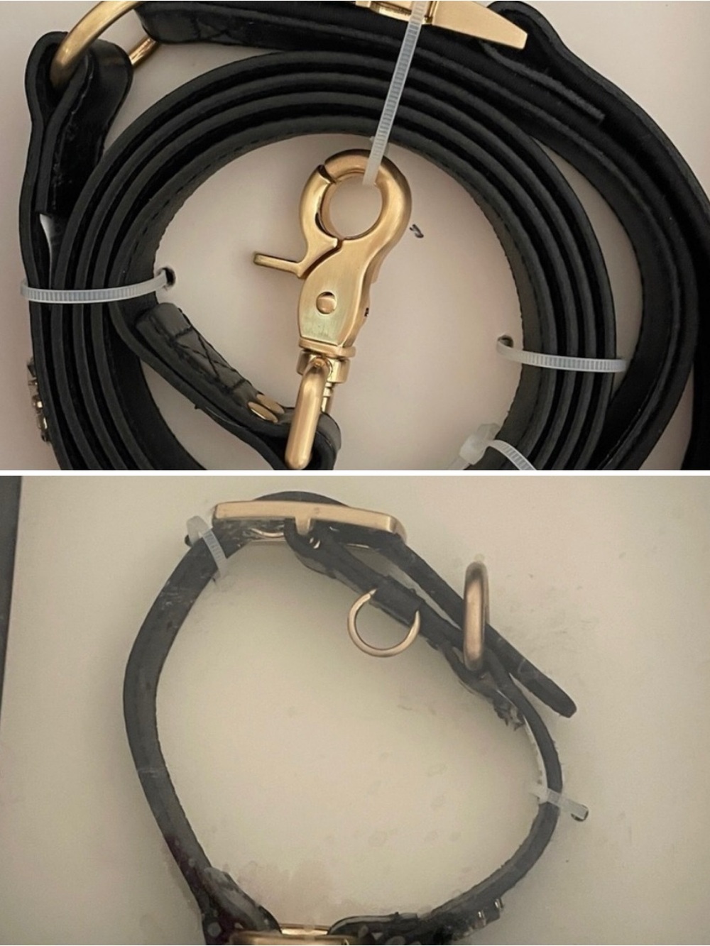 Black Leather leash & XS collar with Gold Hardware and pineapple embellishment